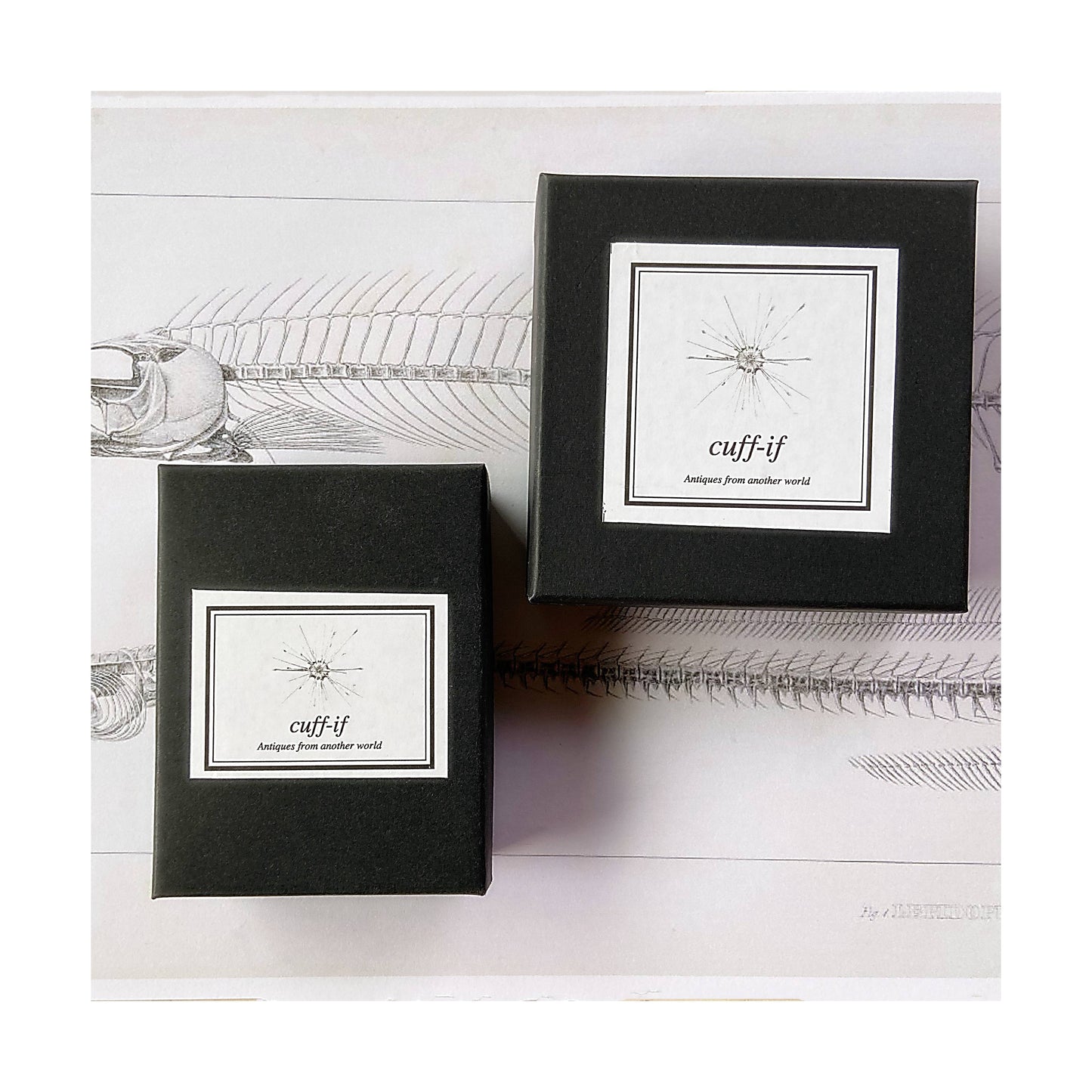 Galaxy Volume Ring / Moon / 月読 GOLD / silver925