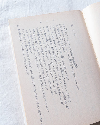 Frames Ring / Fragment / Gem Fire 4-b / silver925 / type-C