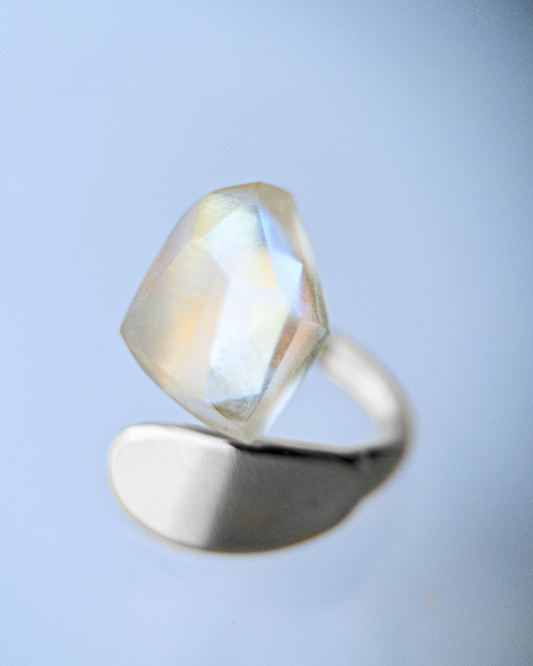 Frames Ring / Fragment / Hydrangea Dreamscape-Faded Mirage Frost / Stainless