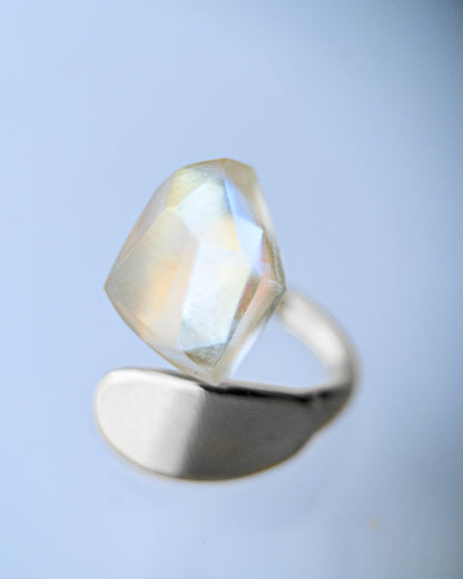 Frames Ring / Fragment / Hydrangea Dreamscape-Faded Mirage Frost / Stainless