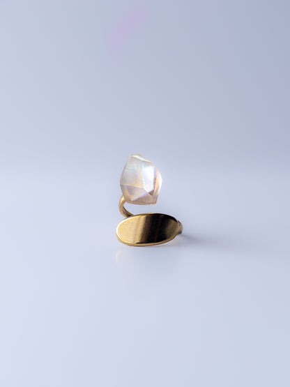 Frames Ring / Fragment / Hydrangea Dreamscape-Faded Mirage Frost / Stainless