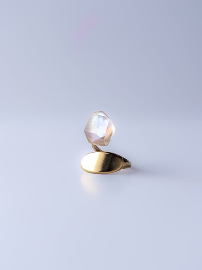 Frames Ring / Fragment / Hydrangea Dreamscape-Faded Mirage Frost / Stainless