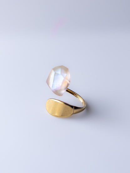Frames Ring / Fragment / Hydrangea Dreamscape-Faded Mirage Frost / Stainless