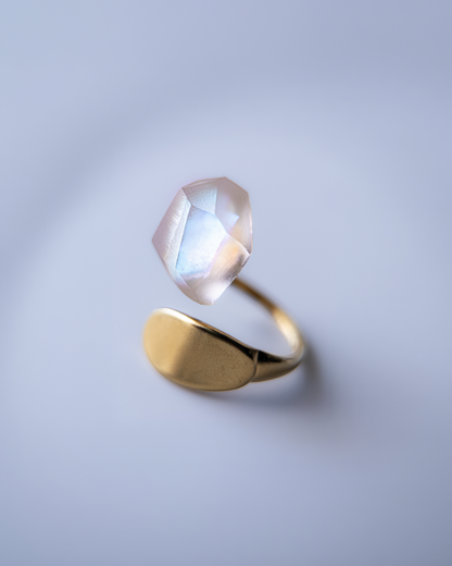 Frames Ring / Fragment / Hydrangea Dreamscape-Faded Mirage Frost / Stainless