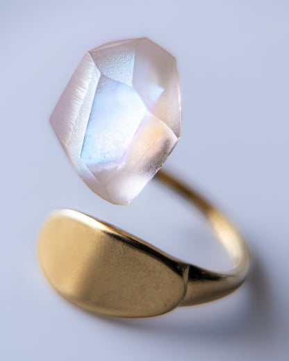 Frames Ring / Fragment / Hydrangea Dreamscape-Faded Mirage Frost / Stainless