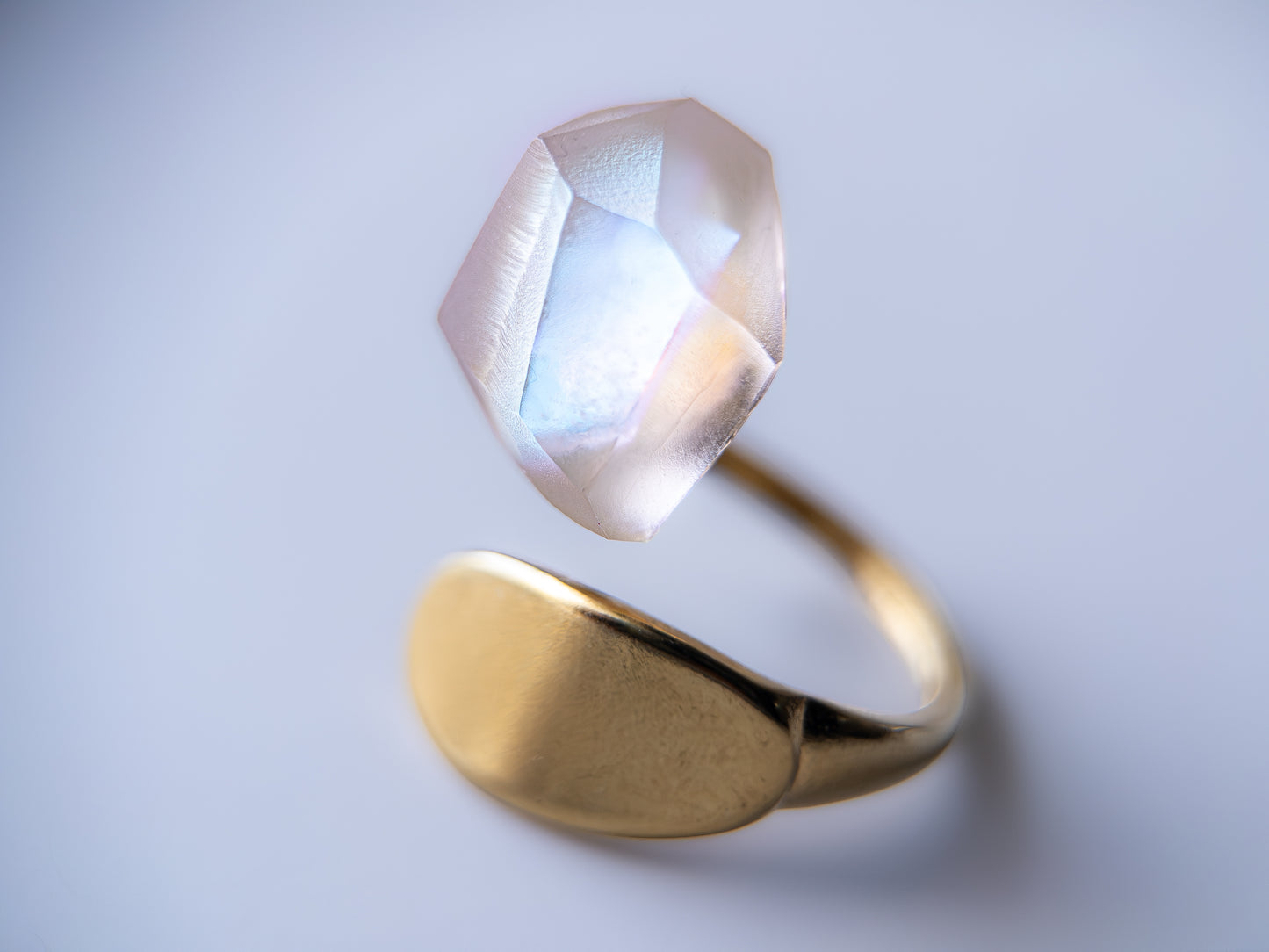 Frames Ring / Fragment / Hydrangea Dreamscape-Faded Mirage Frost / Stainless