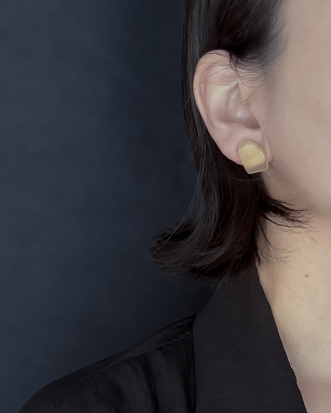 Frames Earrings / Fragment / Interchangeable / Hydrangea Dreamscape-Faded Mirage Frost