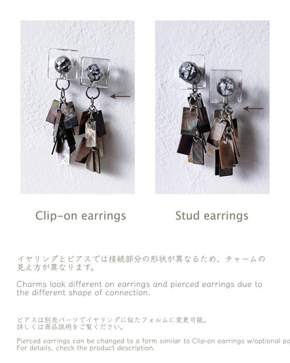 Bugs Eye 2way Earrings / Interchangeable / Macro View-Black Shell