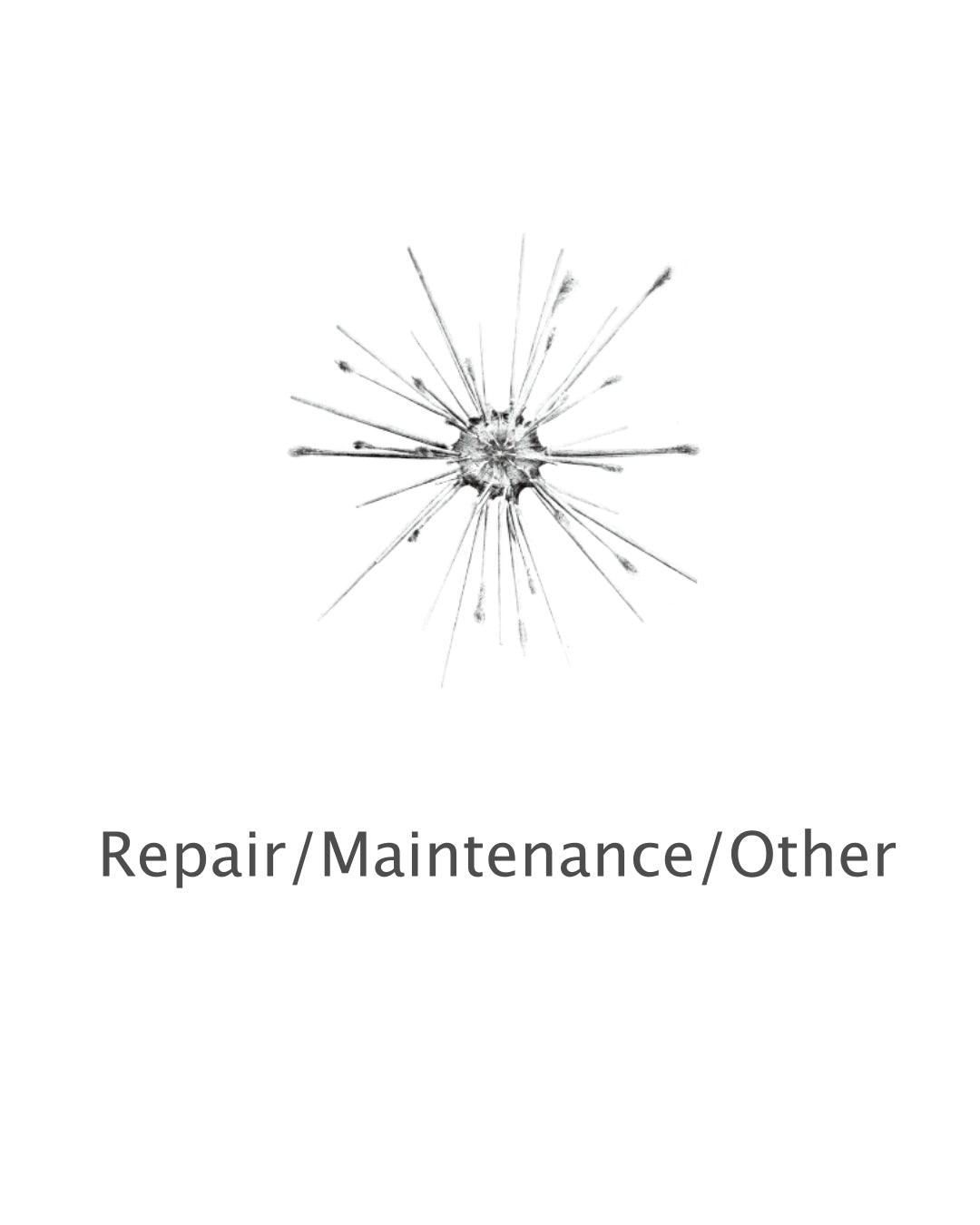 For exclusive use by Mr. H (maintenance/repair/additional purchase)