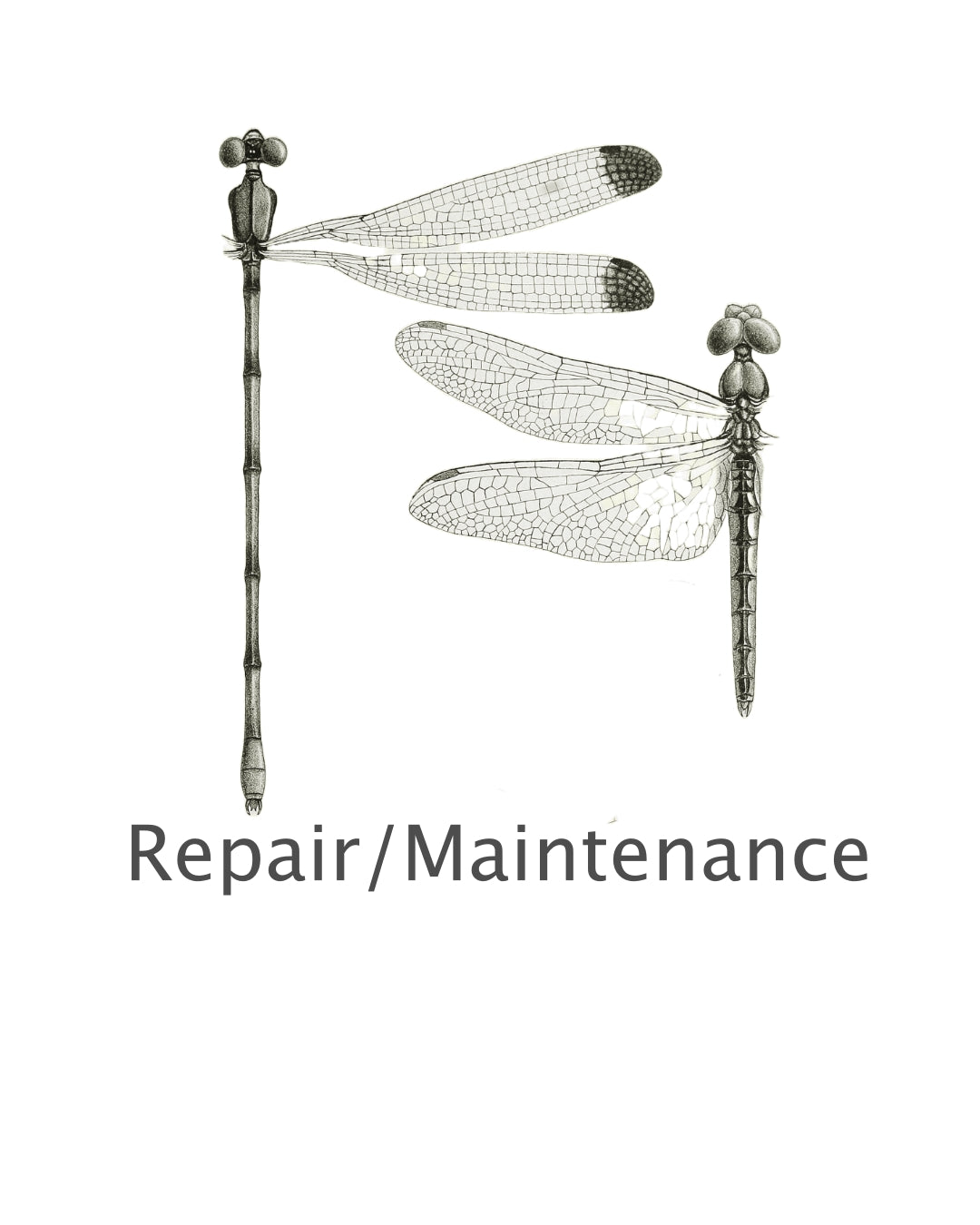 Maintenance / Polishing of products / Re-tightening of earring fittings