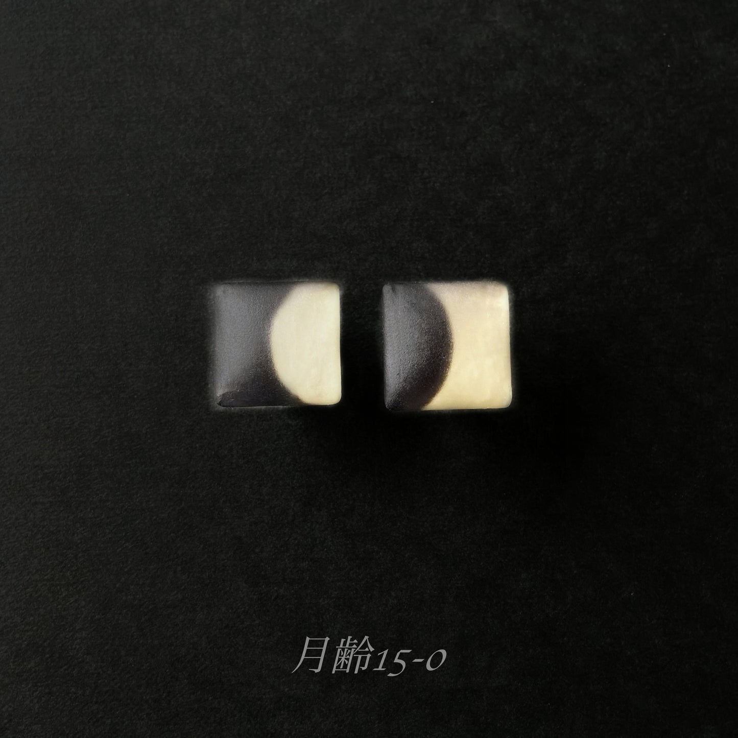 Custom earrings  Interchangeable /着せ替え/ 月齢0-15 月齢15-0